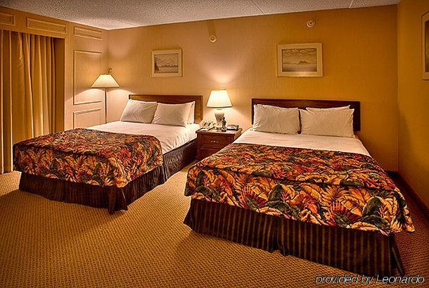 Black Knight Inn Red Deer Værelse billede